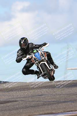 media/Feb-19-2024-Lets Ride (Mon) [[eb90a18fbf]]/Group C/1230pm (Grapevine)/